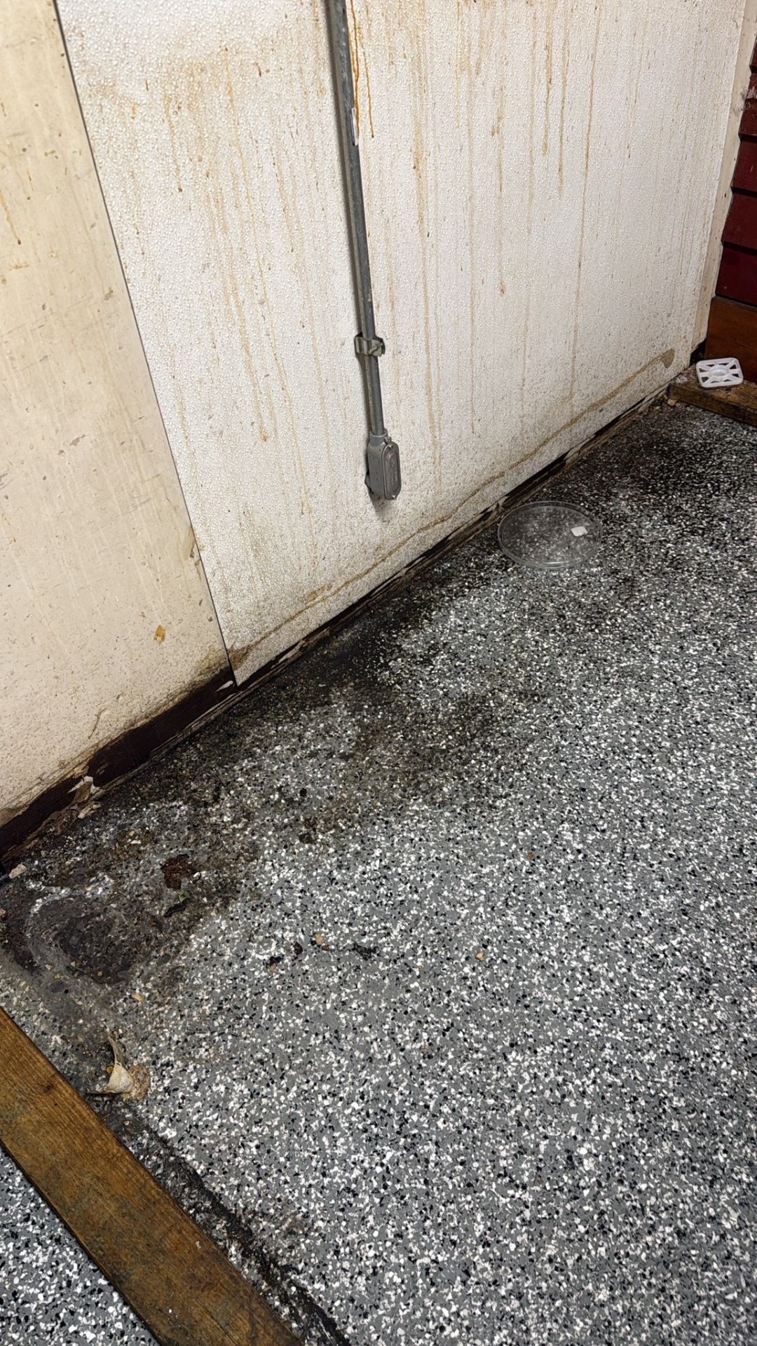 Stained commercial wall base with mold along the floor line before cleaning